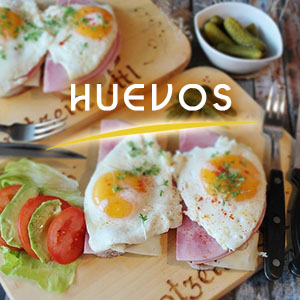 huevos